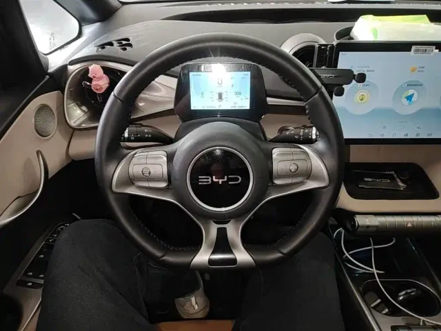 BYD Dolphin — Фото автомобиля 6