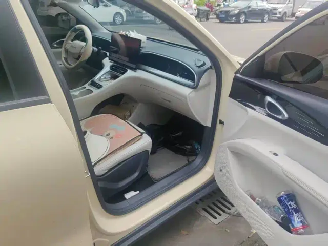Geely Starry Wish — Фото автомобиля 11