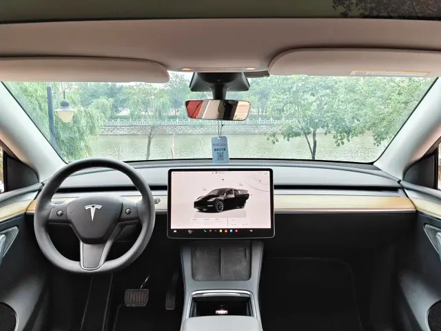 Tesla Model Y — Фото автомобиля 10