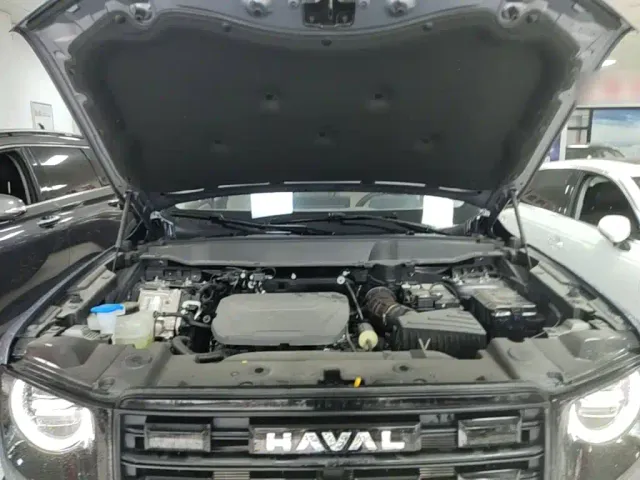 Haval Big Dog — Фото автомобиля 19