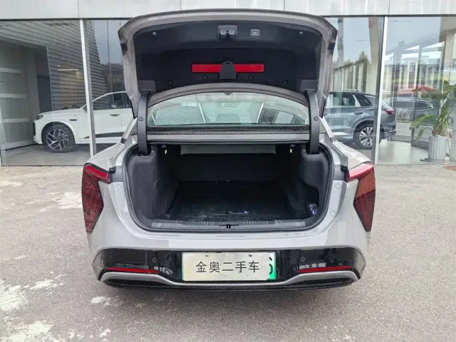 Hongqi EH7 — Фото автомобиля 6
