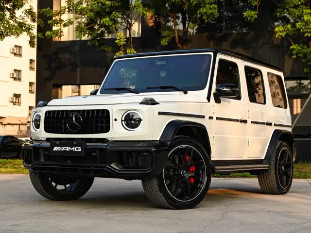 Mercedes-Benz G-Class — Фото автомобиля 19