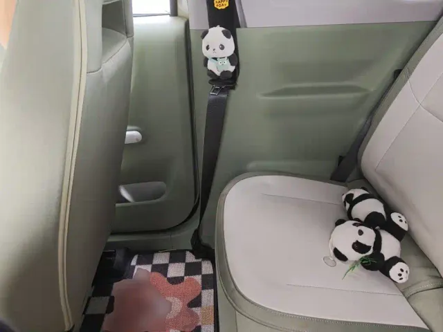 Geely Panda — Фото автомобиля 13