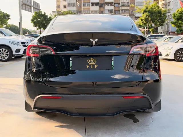 Tesla Model Y — Фото автомобиля 4