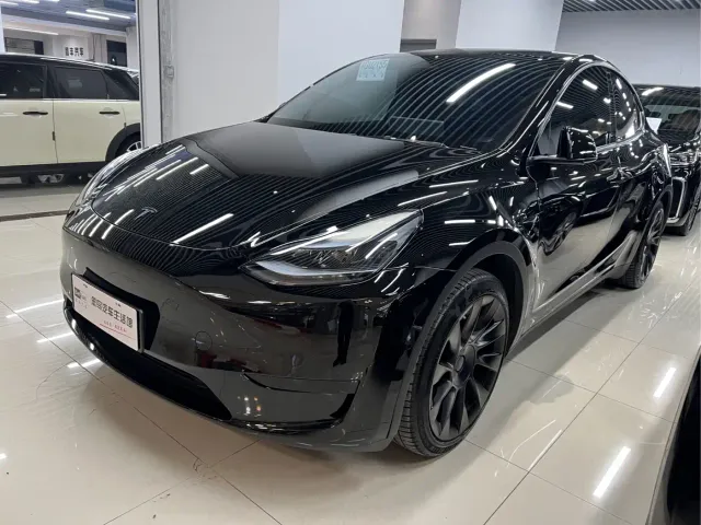 Tesla Model Y — Фото автомобиля 4