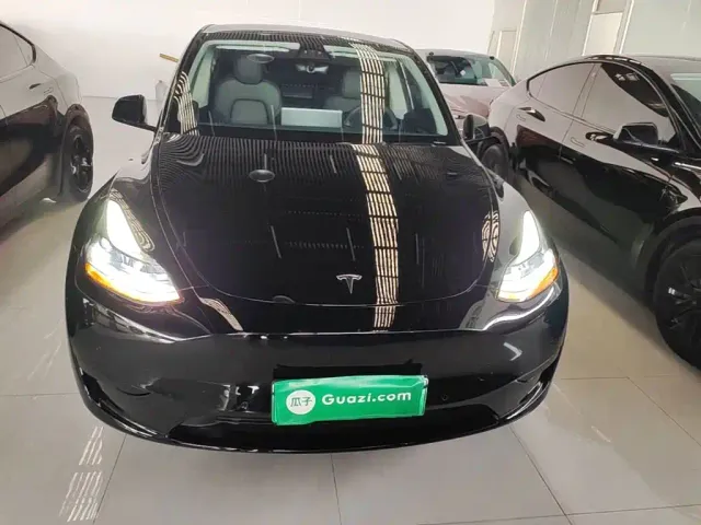 Tesla Model Y — Фото автомобиля 2