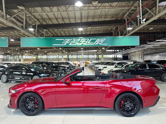 Ford Mustang — Фото автомобиля 7