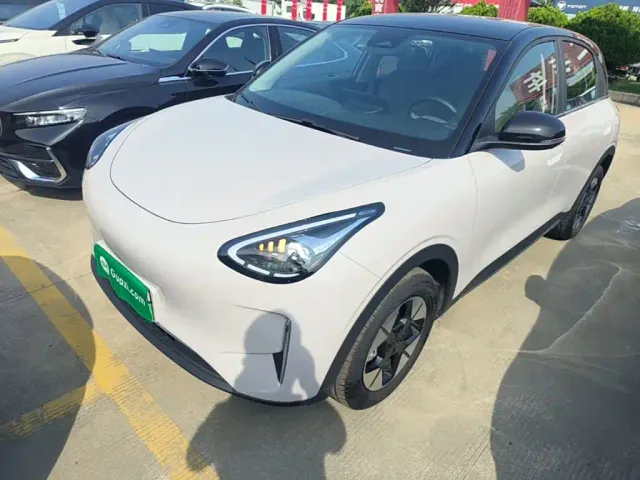 Фотография автомобиля — Geely Starry Wish