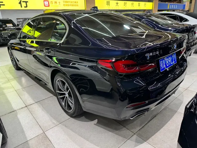 BMW 5 Series — Фото автомобиля 8
