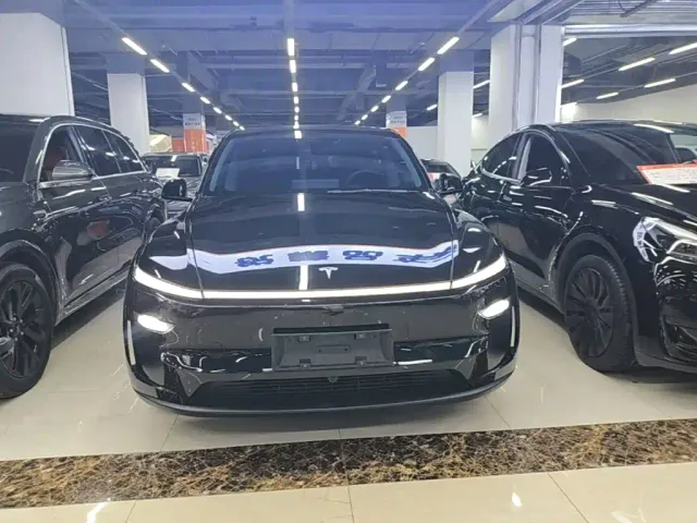 Tesla Model Y — Фото автомобиля 2