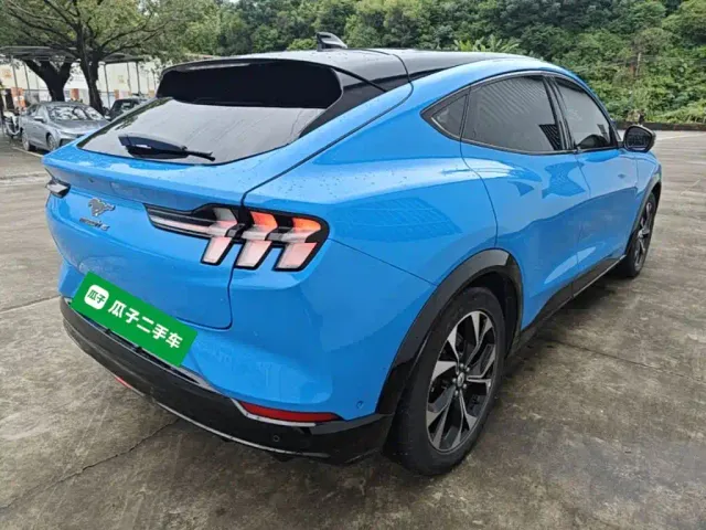 Ford Mustang Mach-E — Фото автомобиля 4