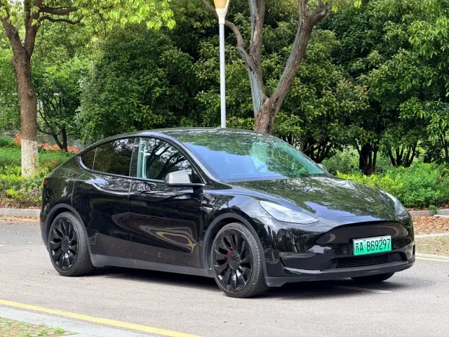 Tesla Model Y — Фото автомобиля 3