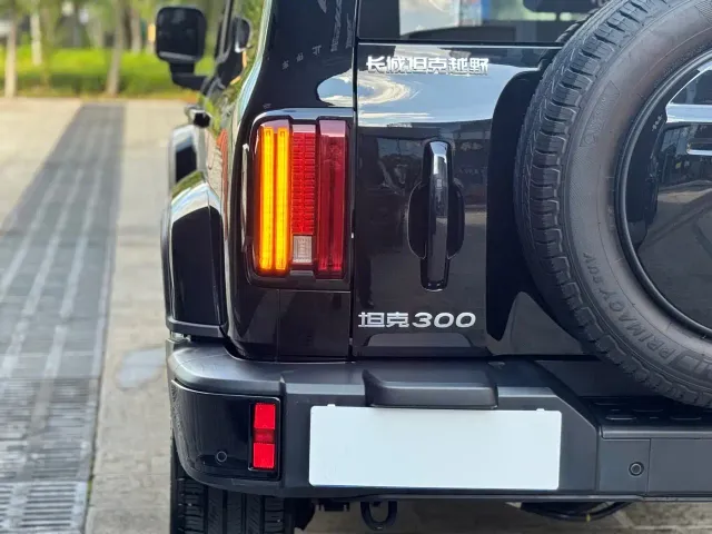 Tank 300 — Фото автомобиля 16
