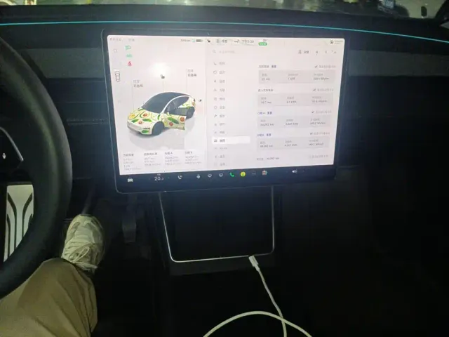 Tesla Model Y — Фото автомобиля 9