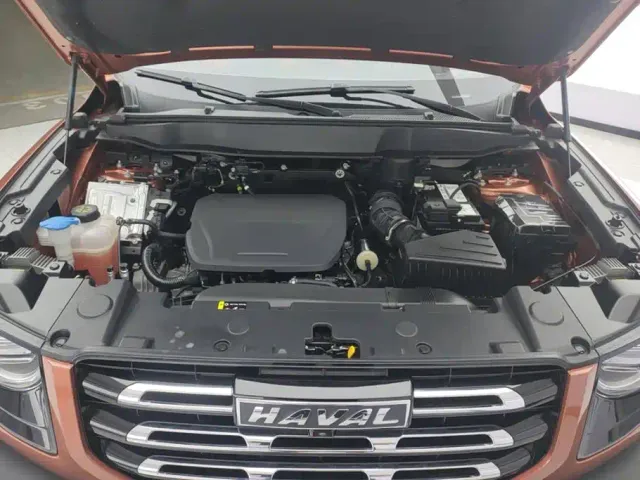 Haval Big Dog — Фото автомобиля 10