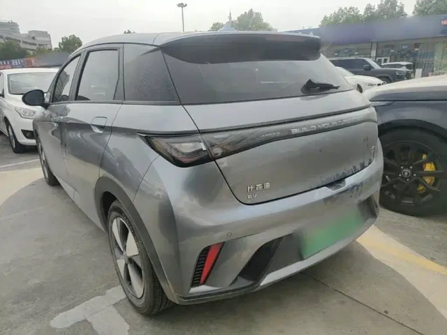 BYD Dolphin — Фото автомобиля 4