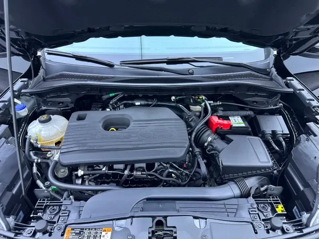 Ford Escape — Фото автомобиля 28