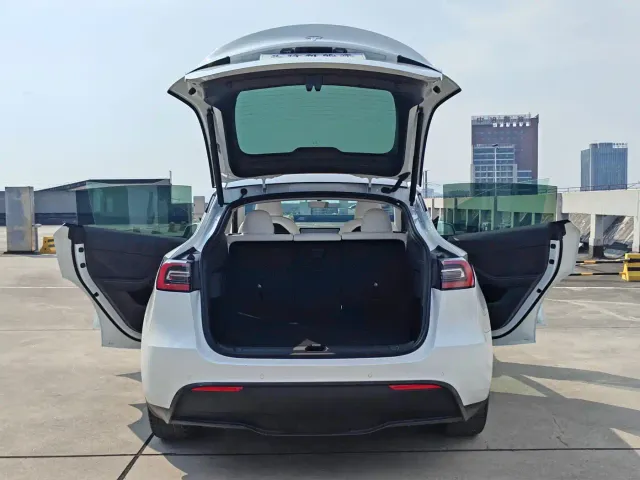 Tesla Model Y — Фото автомобиля 10