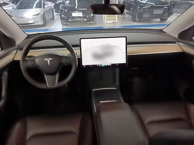Tesla Model Y — Фото автомобиля 9