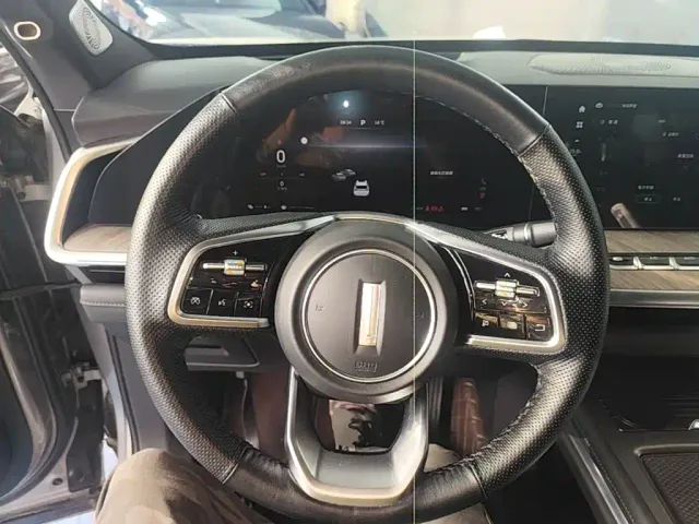 Wey Lanshan — Фото автомобиля 10