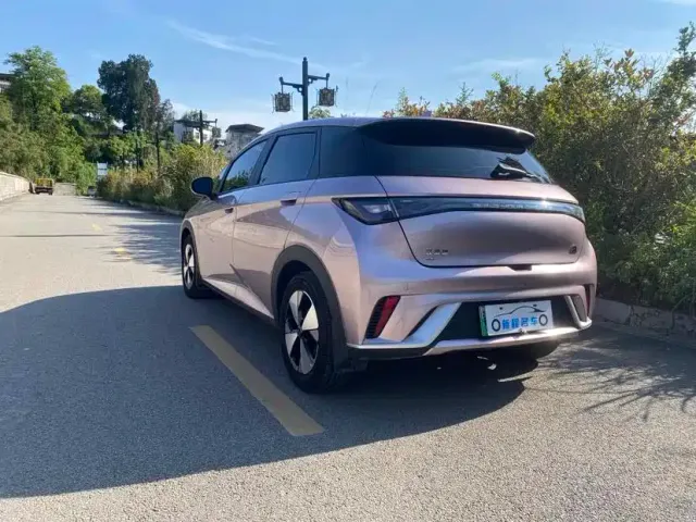 BYD Dolphin — Фото автомобиля 4