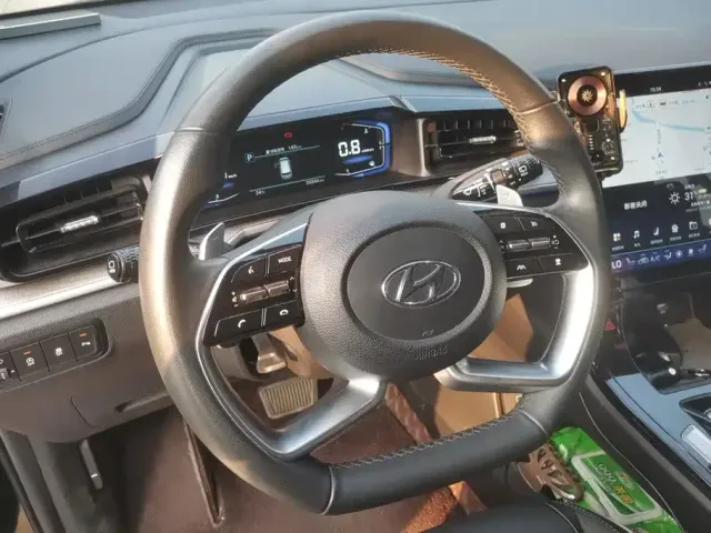 Hyundai Kustu 2021 380TGDi Smart Love Flagship TOP Premium — Фото автомобиля 15