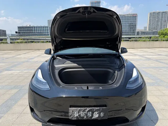 Tesla Model Y — Фото автомобиля 22