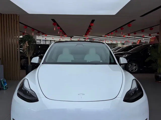 Tesla Model Y — Фото автомобиля 3