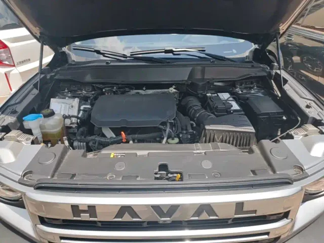 Haval Big Dog — Фото автомобиля 15