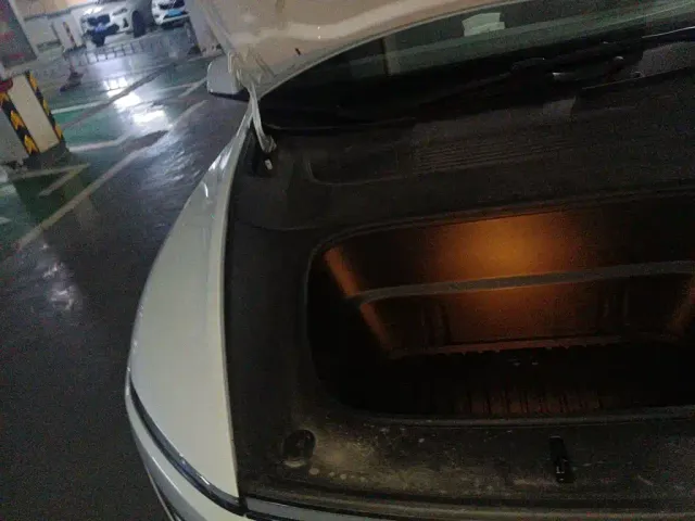 Tesla Model Y — Фото автомобиля 21