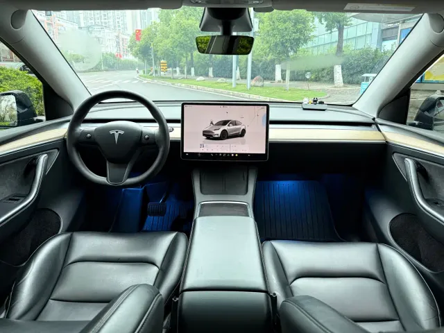 Tesla Model Y — Фото автомобиля 18
