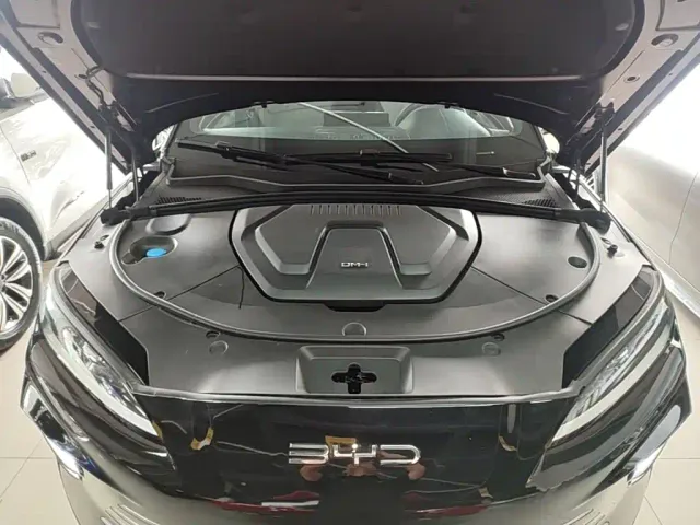 BYD Song PLUS PHEV 2024 Glory Edition DM-i 110km Flagship PLUS — Фото автомобиля 19