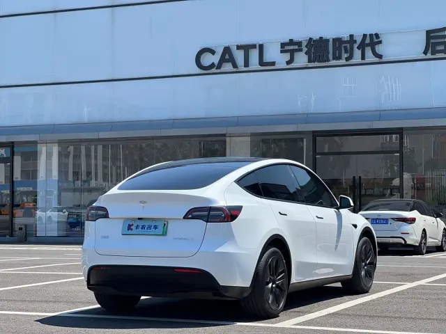 Tesla Model Y — Фото автомобиля 3