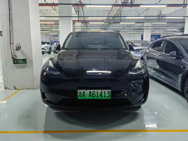 Tesla Model Y — Фото автомобиля 2