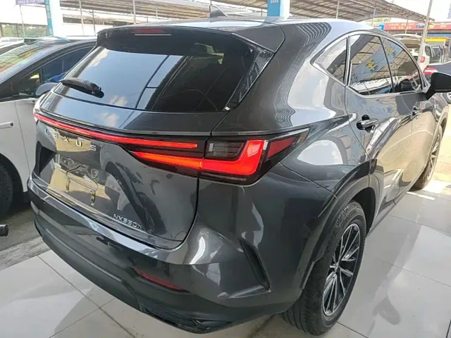Lexus NX — Фото автомобиля 6