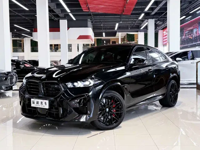Фотография автомобиля — BMW X6 M