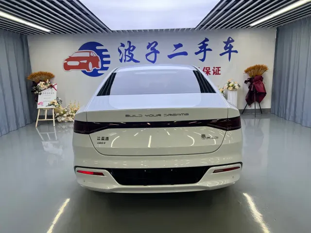 BYD Qin PLUS — Фото автомобиля 19