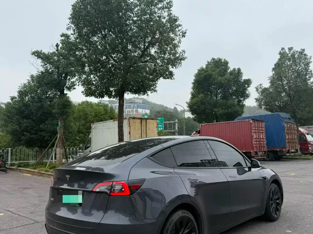 Tesla Model Y — Фото автомобиля 3