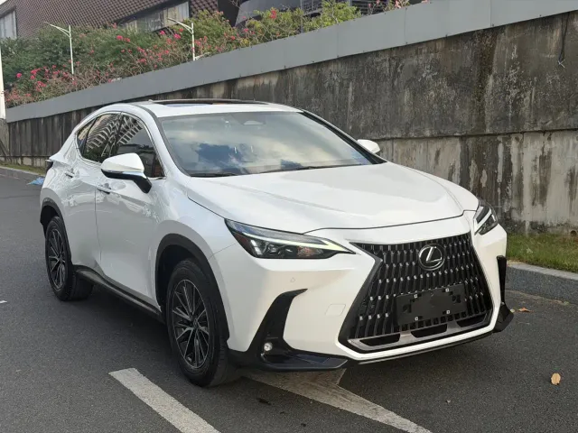 Lexus NX — Фото автомобиля 3