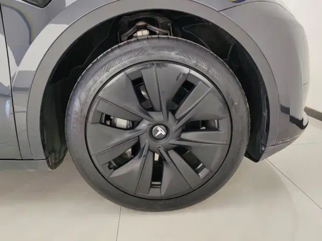 Tesla Model Y — Фото автомобиля 6