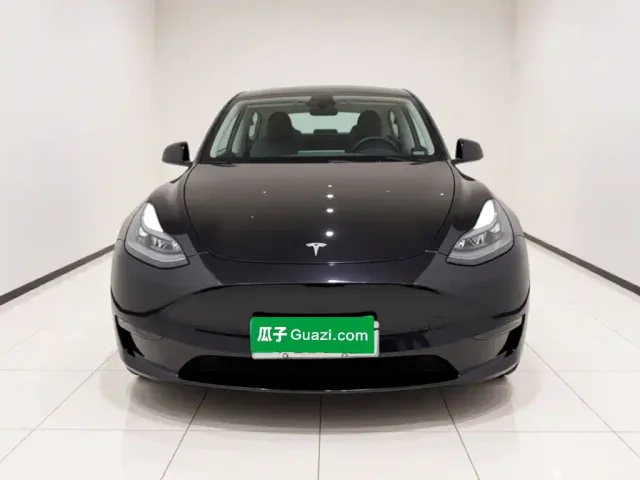 Tesla Model Y — Фото автомобиля 23