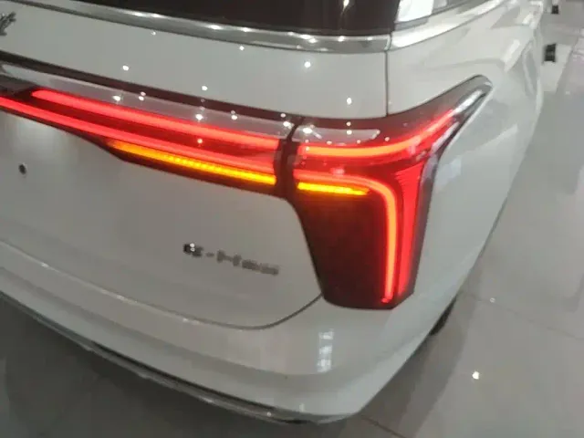 Hongqi E-HS9 — Фото автомобиля 7