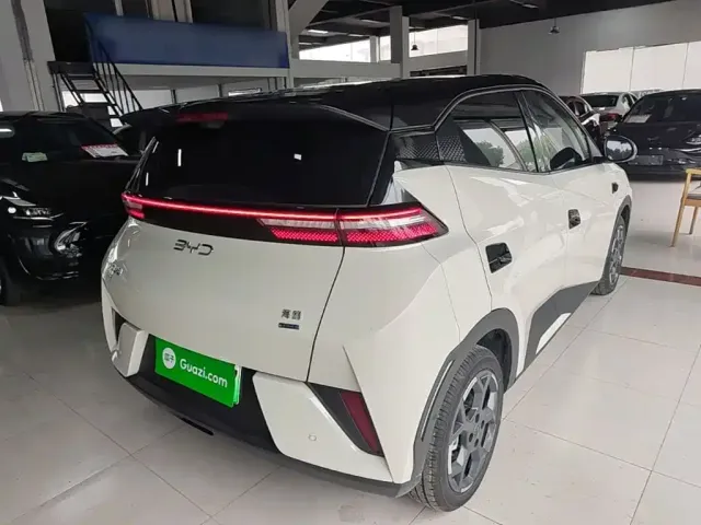 BYD Seagull 2025 Smart Drive Edition 305km Freedom Version — Фото автомобиля 6