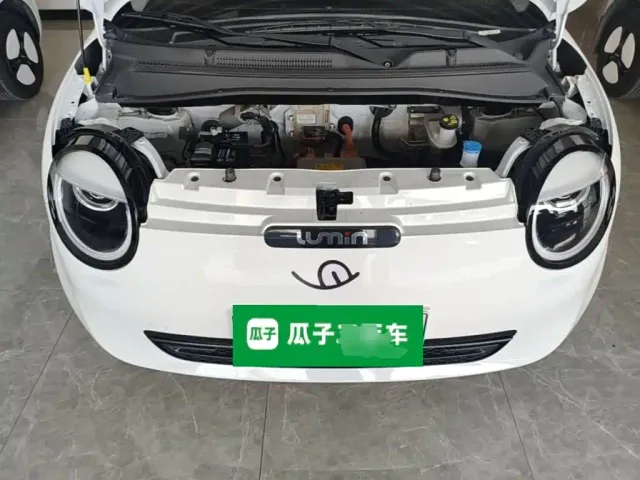 Changan Lumin — Фото автомобиля 19
