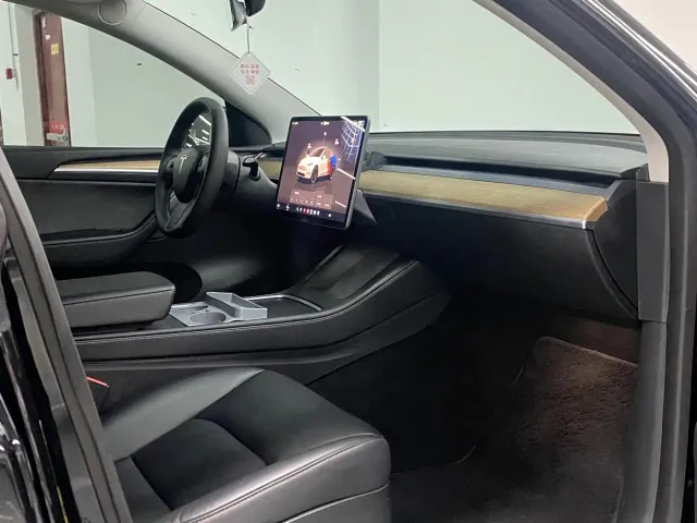 Tesla Model Y — Фото автомобиля 9
