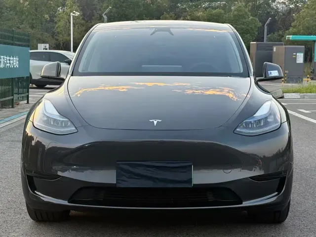 Tesla Model Y — Фото автомобиля 2