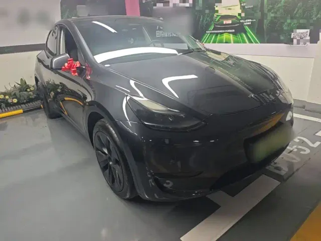 Tesla Model Y — Фото автомобиля 3