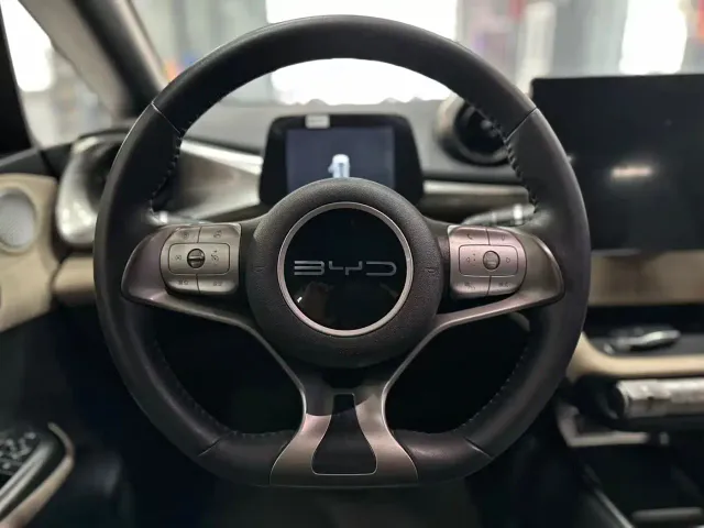 BYD Dolphin — Фото автомобиля 11