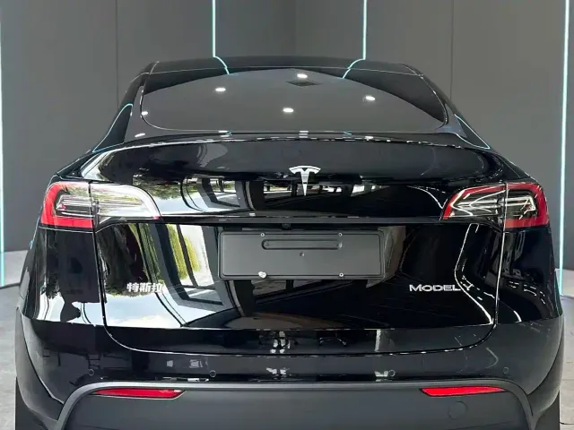Tesla Model Y — Фото автомобиля 7