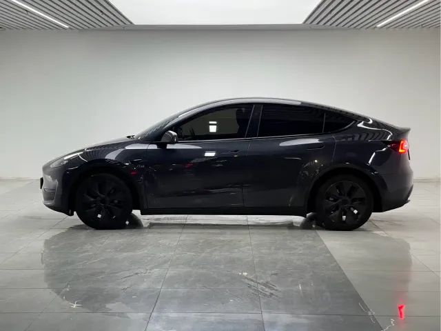 Tesla Model Y — Фото автомобиля 7